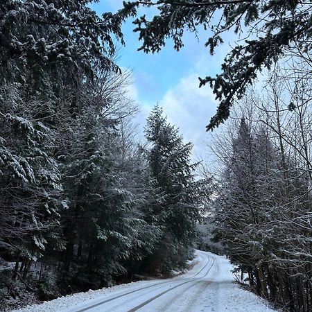 Waterfront Haliburton, All Season, Fully Equipped Cottage! Dış mekan fotoğraf