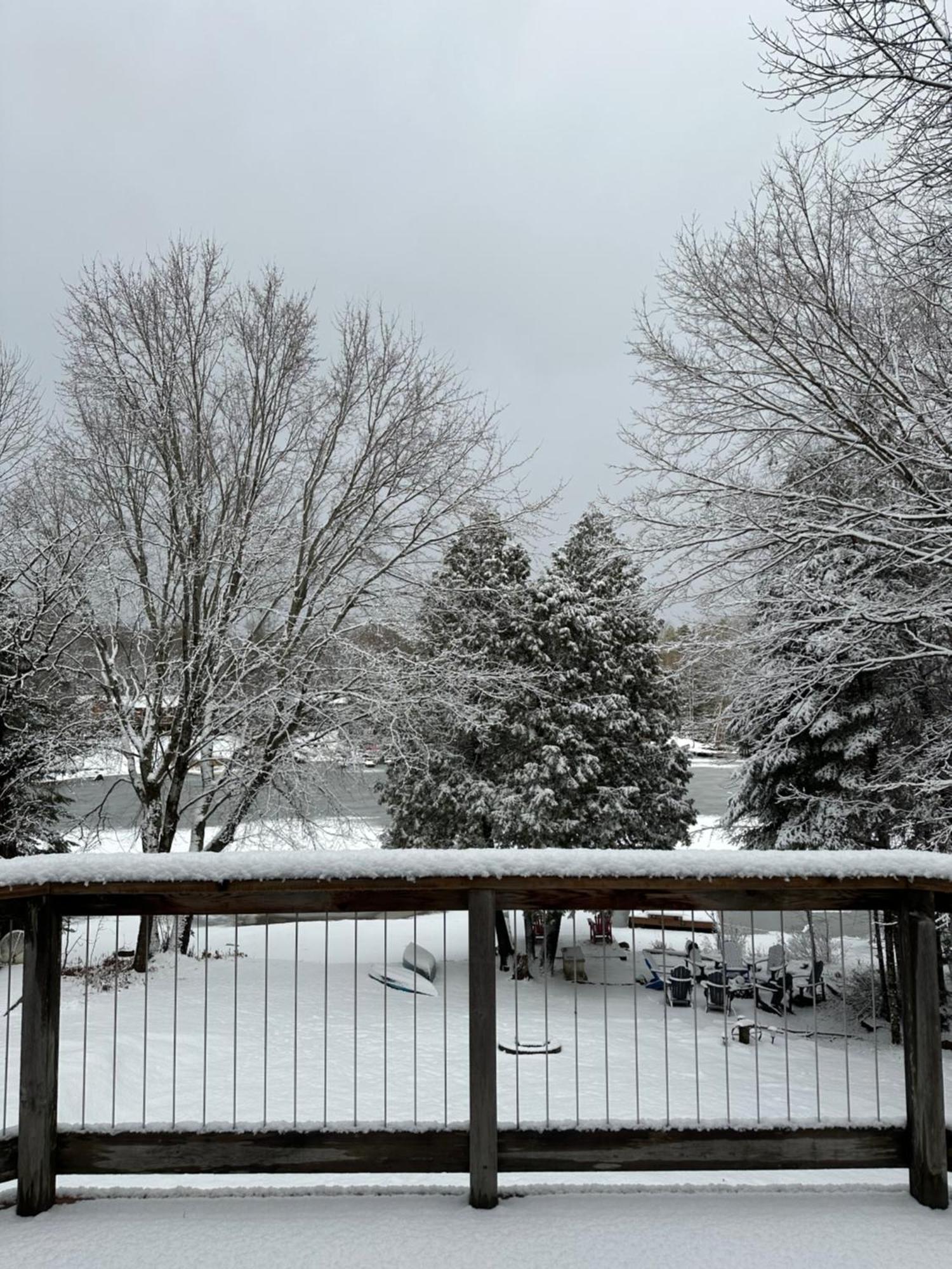 Waterfront Haliburton, All Season, Fully Equipped Cottage! Dış mekan fotoğraf