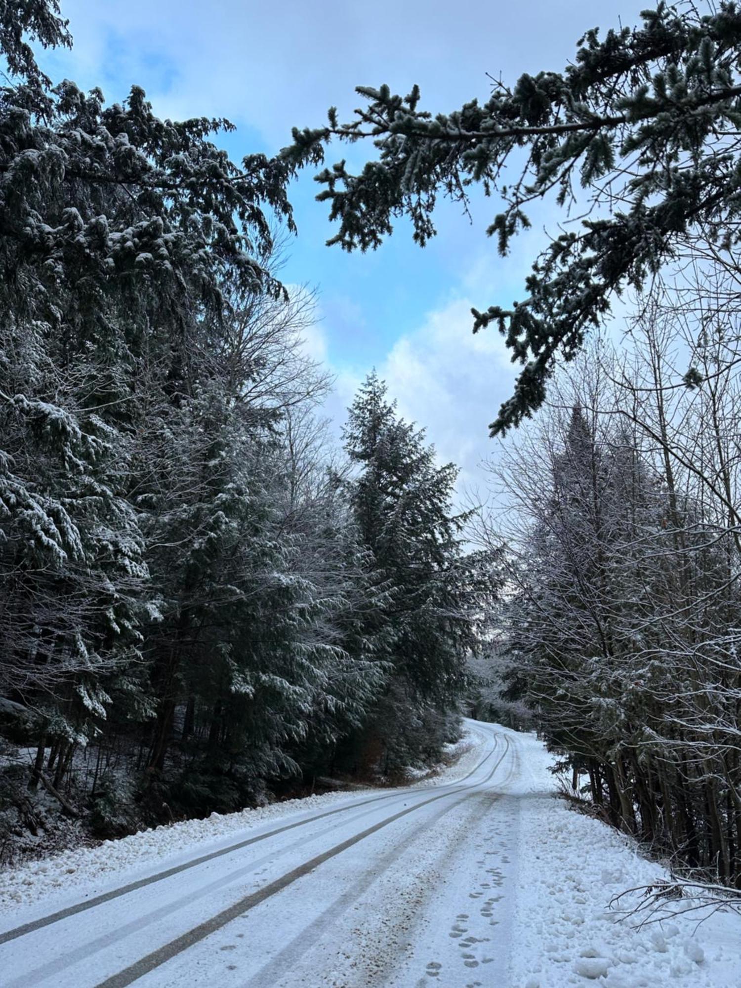 Waterfront Haliburton, All Season, Fully Equipped Cottage! Dış mekan fotoğraf